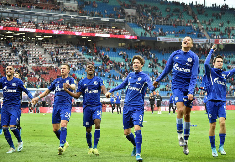 Dự đoán cược Bundesliga 2019 Hoffenheim vs Schalke 04: Cân bằng