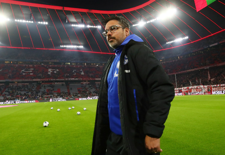 Bundesliga: David Wagner must choose between Alexander Nubel and Markus Schubert to play vs Hertha BSC