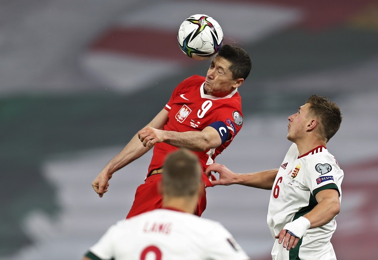 足球波兰莱万多夫斯基的赛场动态