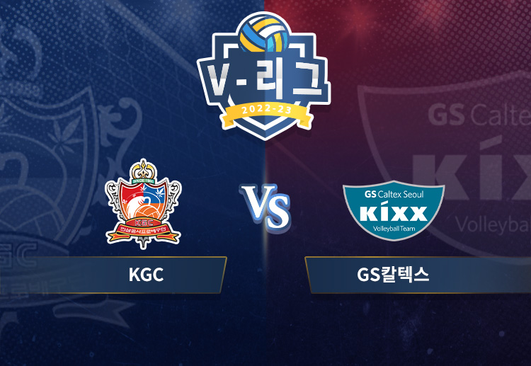 엘리자벳은 도로공사전에서 4세트에만 13점을 올리며 역전승의 발판을 놨다.