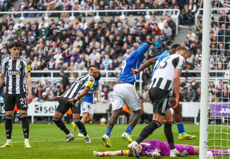 브라이언 브로비는 이번 시즌 프리미어리그 6골로 선덜랜드의 득점 선두를 달리고 있다